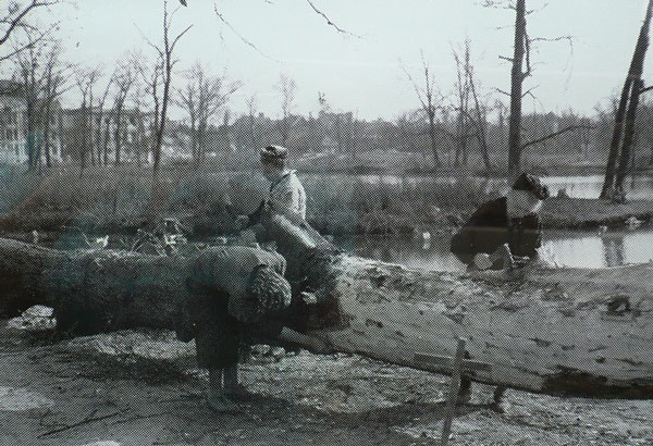 Parque Tiergarten Pós-guerra