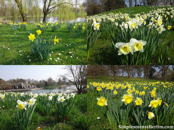 Parque Britzer Garten