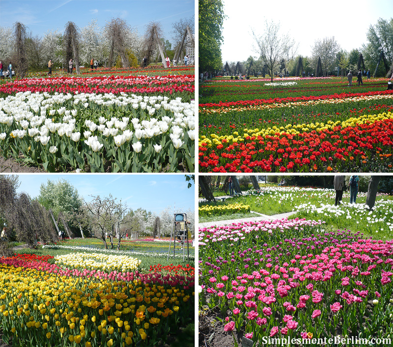 Parque Britzer Garten (Clique na imagem para ampliar)