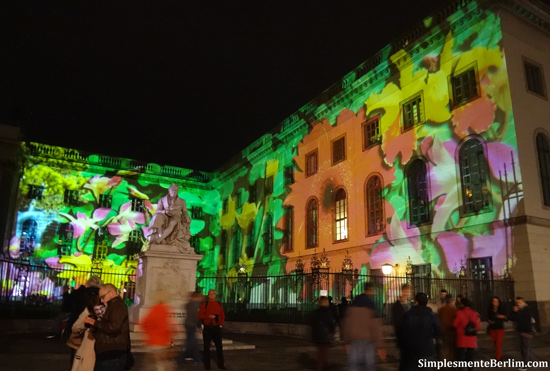 Festival of Lights 2014 (Festival de Luzes)