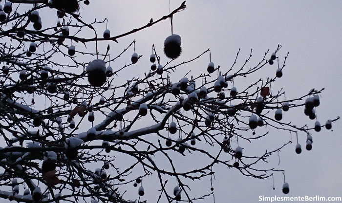Inverno em Berlim com neve (Clique na imagem para ampliar)