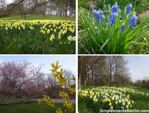 Britzer Garten