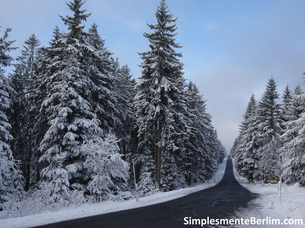 OndeEsquiarNasImediacoesDeBerlim_Erzgebirge