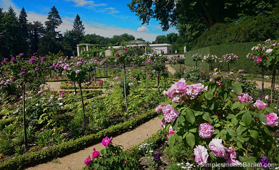 Parque Sanssouci