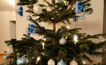 A história da árvore de Natal: Como e onde surgiu esta tradição