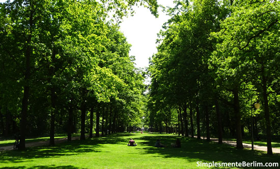 Parque Tiergarten Parque Tiergarten